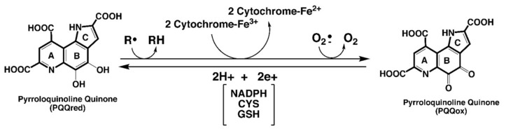包含圖片、插圖等的外部文件。
對(duì)象名稱為 biomolecules-11-01441-g001.jpg
