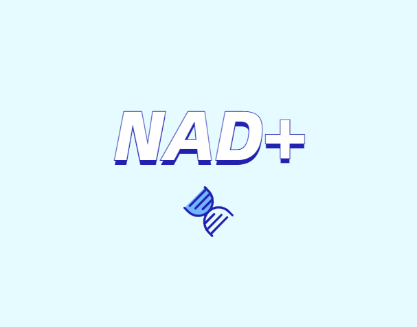 NAD在健康中有什么潛在作用？