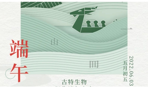 端午 - 爭流而上，行舟踏浪