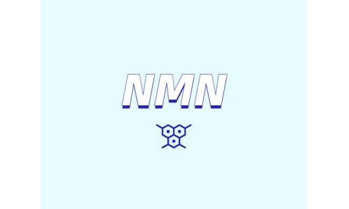 nmn代表什么？
