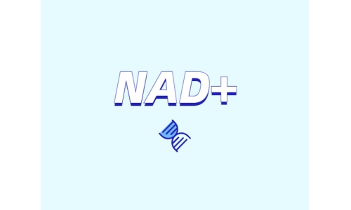 NAD在健康中有什么潛在作用？