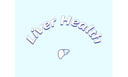 哪些原料可助力肝臟健康？