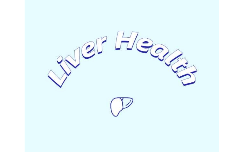 哪些原料可助力肝臟健康？